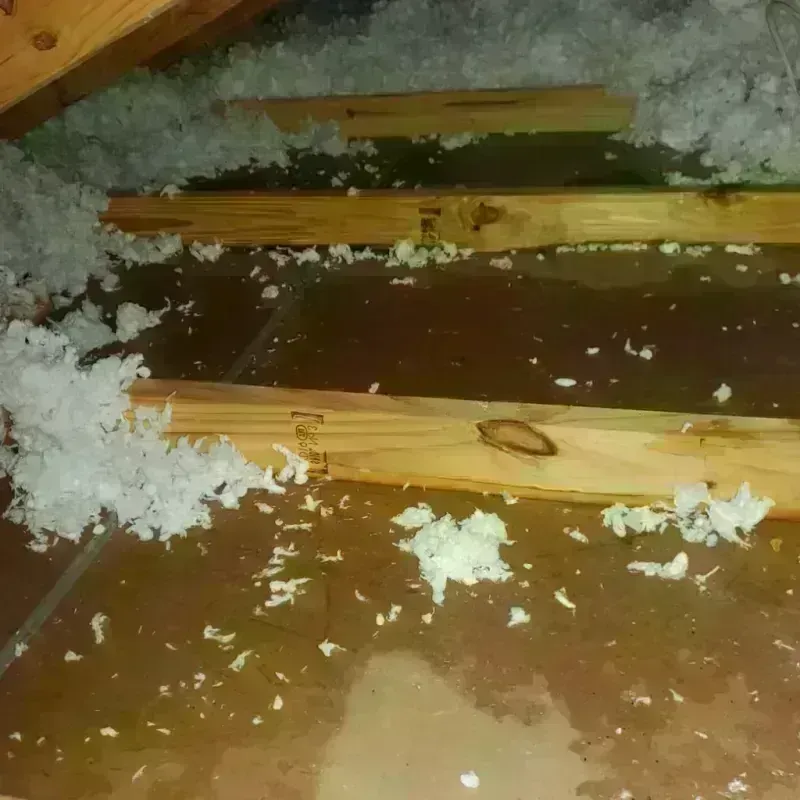 Attic Water Damage in Duboistown, PA